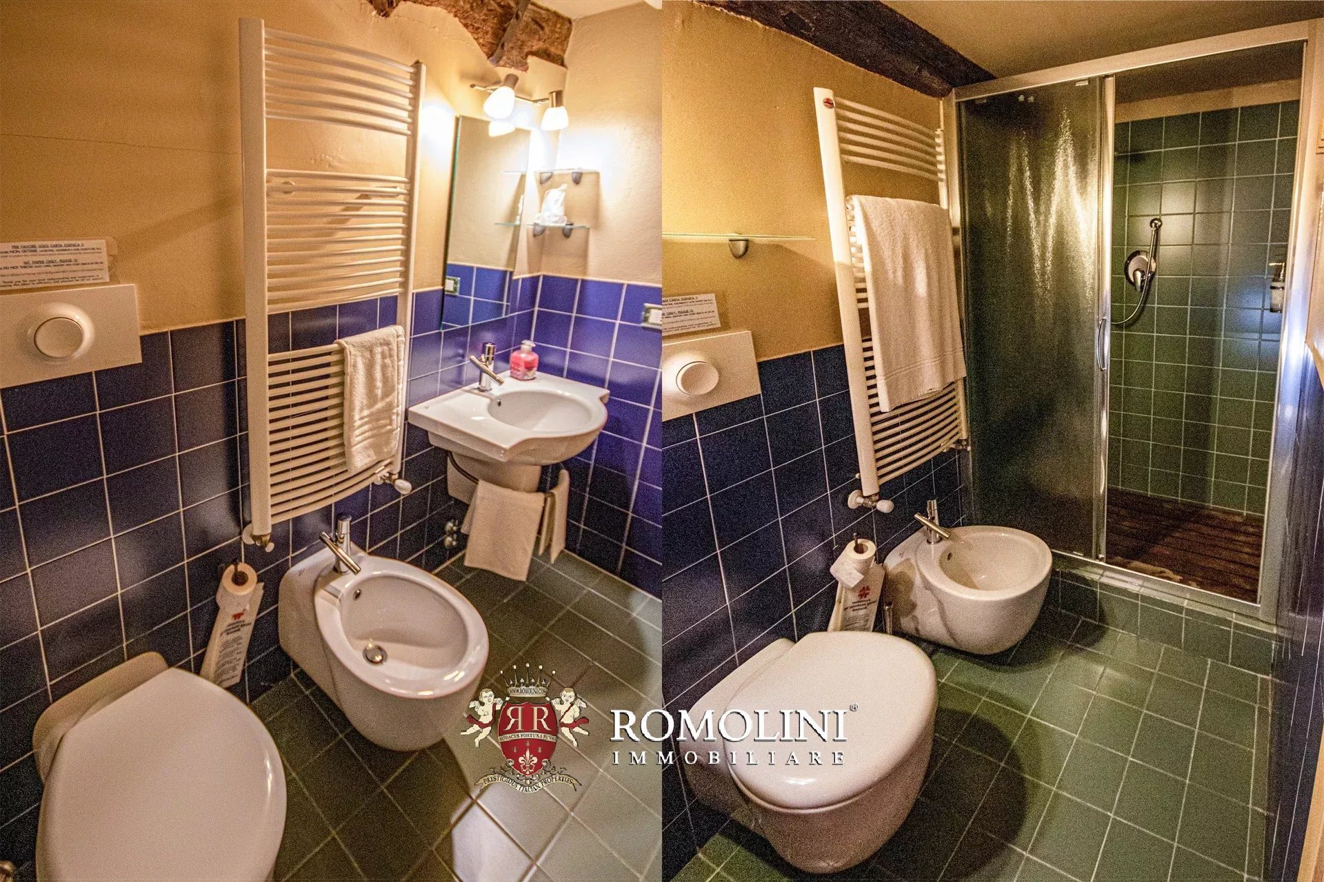 Wine Estate With Castle For Sale In Lunigiana, Tuscany