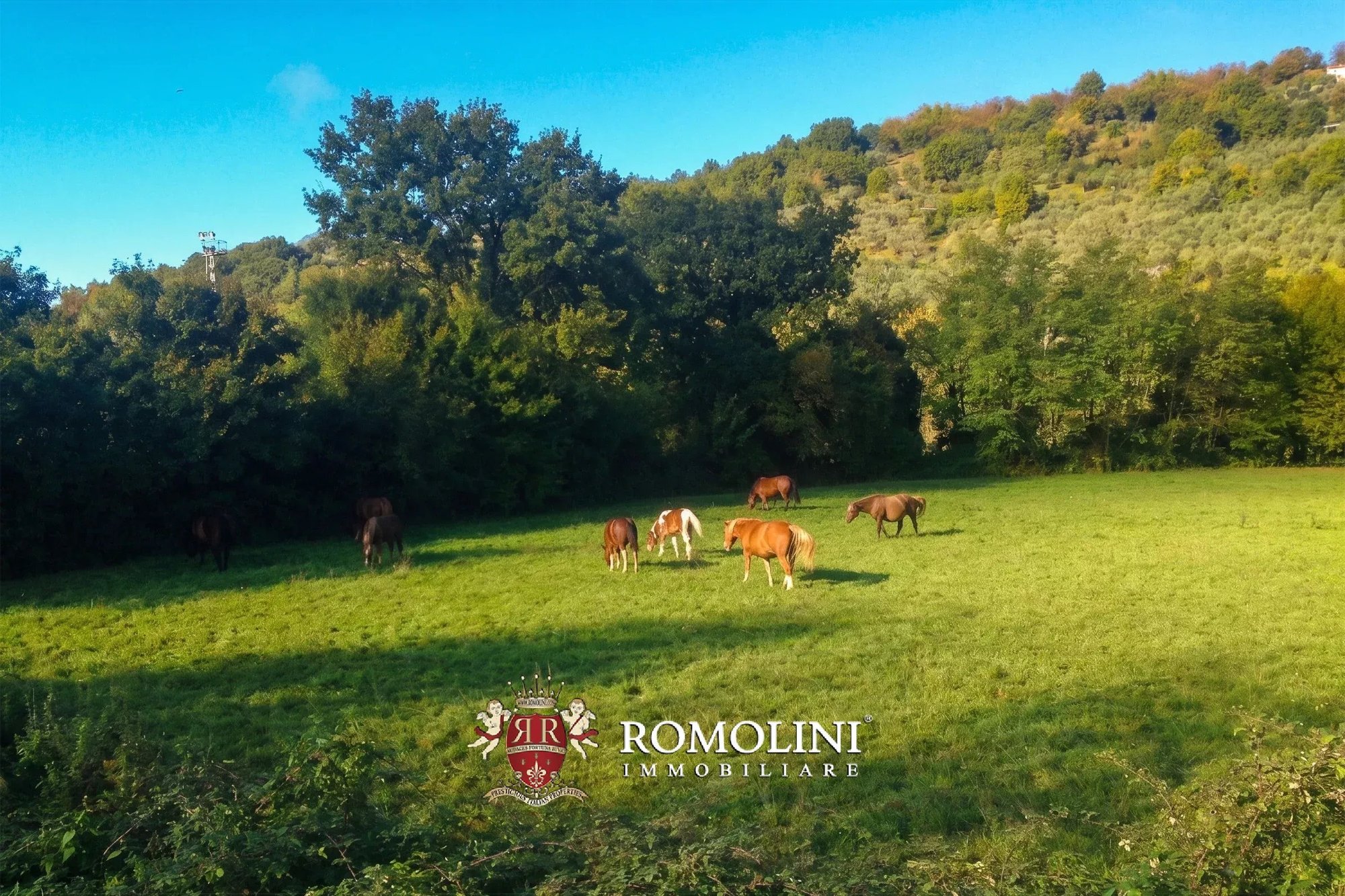 Wine Estate With Castle For Sale In Lunigiana, Tuscany
