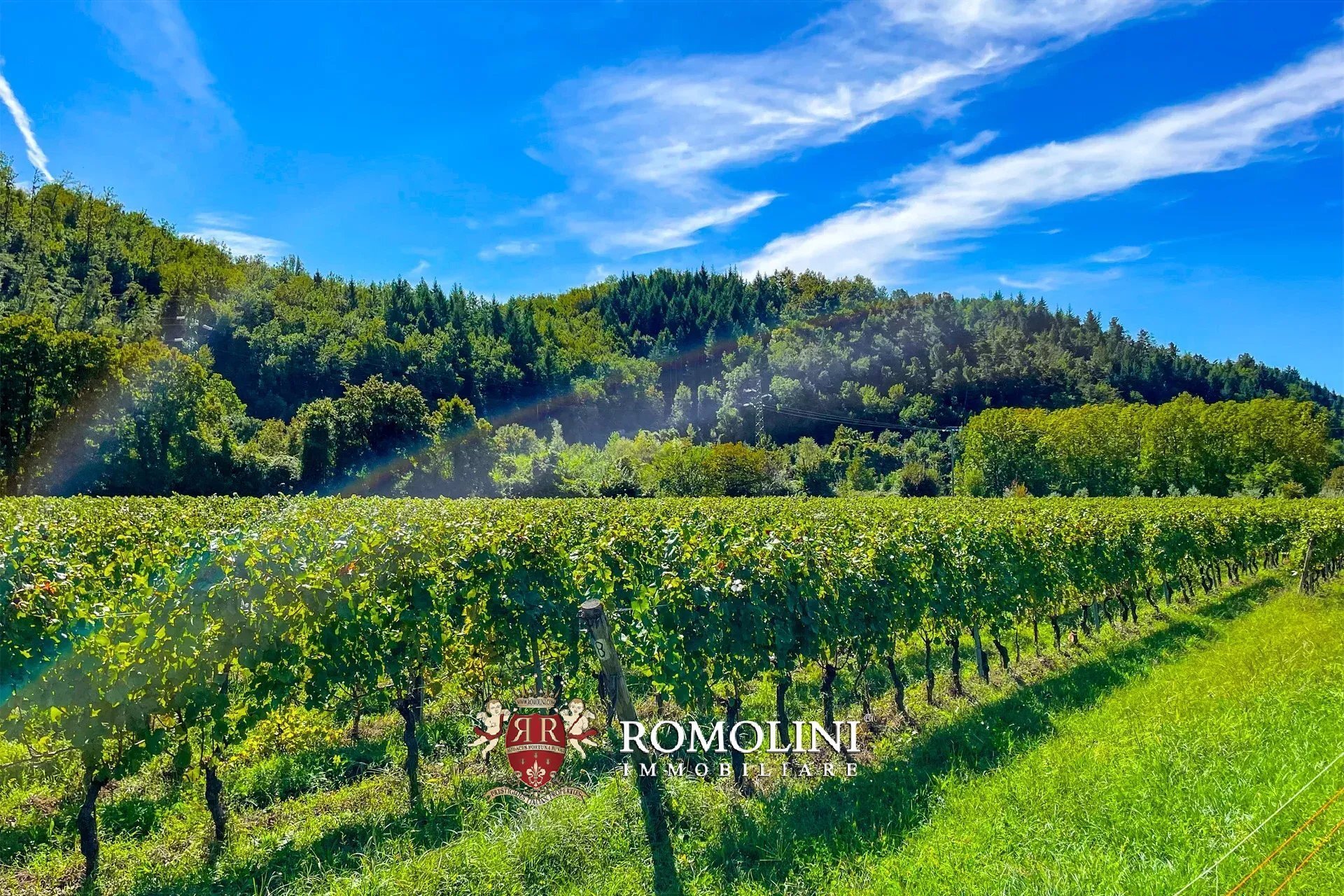 Wine Estate With Castle For Sale In Lunigiana, Tuscany
