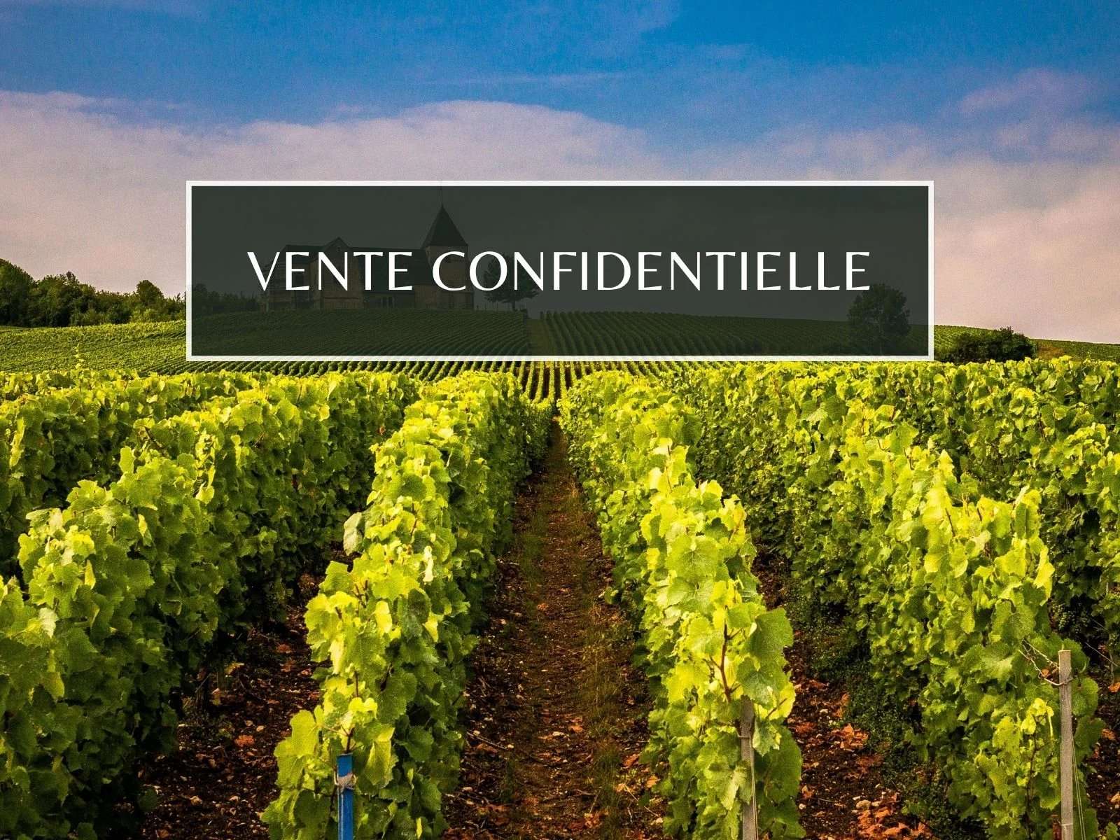 Bergerac