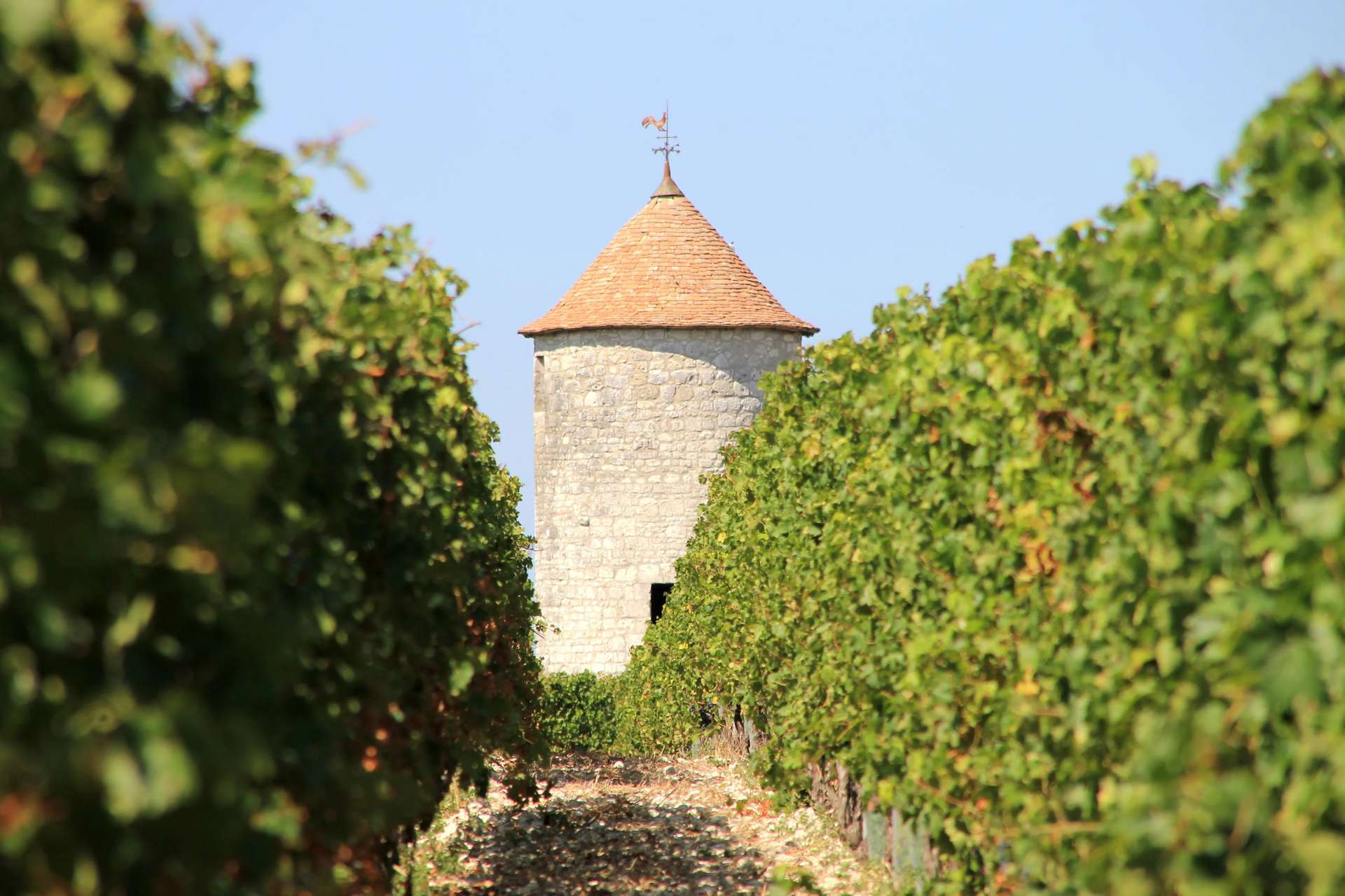 Bergerac - 3